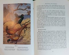 Pheasants Including Their Care In The Aviary by HA Gerrits 1974 Beautiful Illust