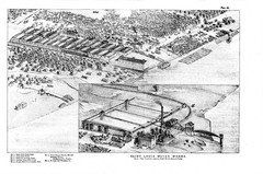 Pictorial St. Louis: The Great Metropolis of the Mississippi Valley 1875 HC 1971