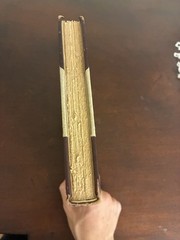 1905 First Edition Sir Walter Raleigh by Henry David Thoreau 1 Of 489 Copies
