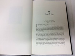 Rescue Artist : A True Story of Art, Thieves….By Edward Dolnick (2005 HC/DJ )