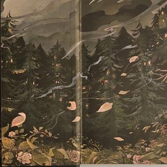 Shield of Sparrows by Devney Perry Hardcover (2025) Eden Series 1st Edit/Print