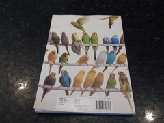 Complete Book of Budgerigars by John Scoble (1987, Trade Paperback)