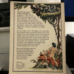Tarzan of the Apes Burne Hogarth Graphic Comic 1974 First Pan Books Edition