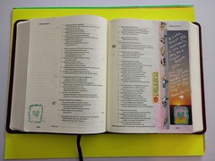 ESV Single Column Journaling Bible (TruTone, Chestnut, Leaves Design) Crossway