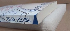 Kelsie Stelting – Chasing Skye, Signed, Bookworm Box Edition, Paperback, READ