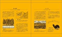 Dougal Dixon THE New Dinosaurs an Alternative Evolution Japan edition Book