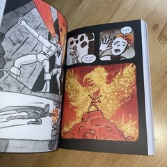 Flamer by Mike Curato (2020, Trade Paperback) Pre-read