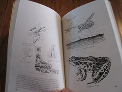 U.S ARMY SURVIVAL BOOK 21-76 ILLUSTRATED 288 PAGES SURVIVALIST GUIDE HANDBOOK