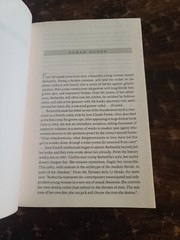 Please Please Tell Me Now Duran Duran Story By Stephen Davis Uncorrected Proof