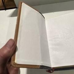 Compact Tamil Holy Bible & Hymnary – India – Leather Bound, Illustrated