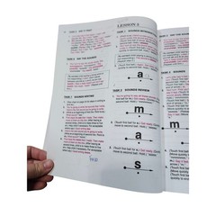 Teach Your Child To Read In 100 Easy Lessons-Homeschool Reading Curriculum