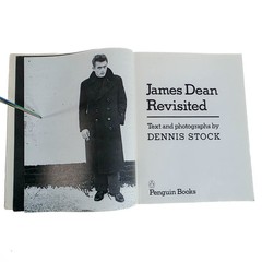 James Dean Revisited Dennis Stock 1978 Penguin PB Photo Book Vintage