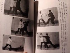 Baji Boxing by Liu Yunqiao