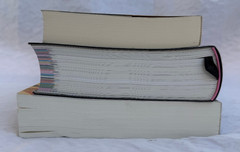 The Familiar Vol 1, Only Revolutions, Mark Z. Danielewski House of Leaves books