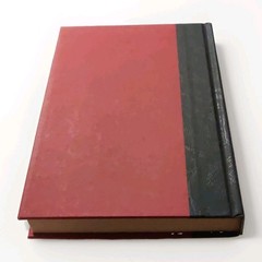 Notorious by Michele Martinez, HarperCollins 2008 HC 1st Ed w/ Dust Jacket