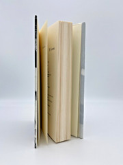 Snapshots 20th Century Mother-Daughter Fiction Vintage 2000 Book 241 pages-A3