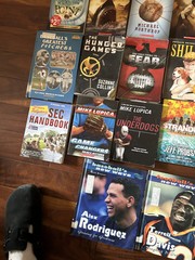 Lot of 25 Books for BOYS Youth Early Reader Young Adult Children