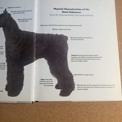 A Kennel Club Book Giant Schnauzer Comprehensive Guide To Owning And Caring For