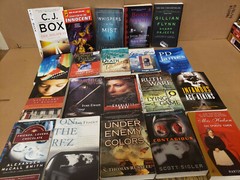 Lot of 10 Pounds Mystery Large Trade Paperback Books Suspense Thriller Crime MIX