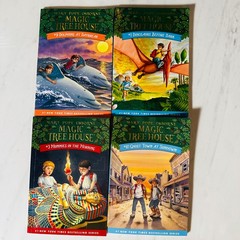 Magic Treehouse – Paperback Book Lot of 12 – #1-12 – Mary Pope Osborne
