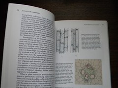 Botany For Gardeners by Brian Capon 1995 PB