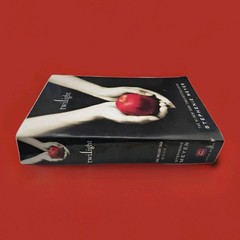 Twilight: Stephenie Meyer (English Edition) by Stephenie Meyer