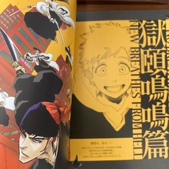 Bleach EX 20th Anniversary Exhibition Art Book THE BRAND NEW BLACK Illustration
