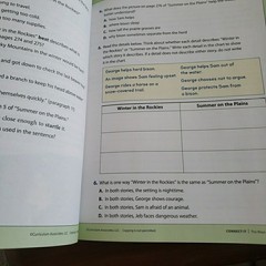 3rd Gr. i-Ready Magnetic Reading , Student Workbook, Grade 3