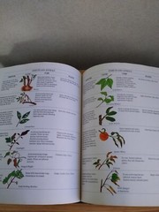 Treasury Of Gardening Hardcover Book 1994 576 Pages