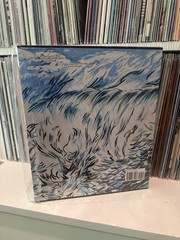 Raymond Pettibon Large HardBound Slipcase Book Rizzoli And Regen Projects