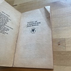 James Baldwin Notes of a Native Son Bantam Modern Classic Vintage 1968 PB