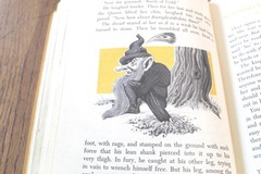 Prose and Poetry The Sunshine Book 1946 Children Animal Stories