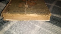 1916 Nyal Cook Book by Janet McKenzie Hill Boston Cooking School Illustrated