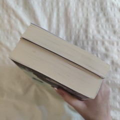 The Neapolitan Novels box set by Elena Ferrante(Europa Editions,trade paperback)
