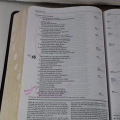 NIV Life Application Study Bible Bonded Leather Printed in USA – Red Letter