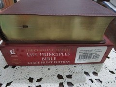 NASB Charles Stanley Life Principles Bible- Large Print INDEXED Burgundy LS-RARE