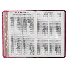 KJV Giant Print Brown Berry Pink Thumb Indexed BRAND NEW in Shrink Wrap!!!