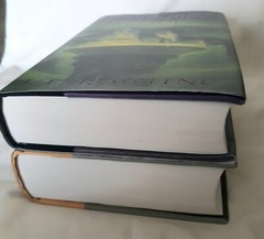 HARRY POTTER Lot of 2 Hardcovers 1st Edition 1st Print GIFT QUALITY