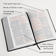 KJV Holy Bible Large Print LeatherTouch Red Letter King James w/ Bible Tabs Gift