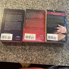 Susan Grant “Otherworldly Men” 3 book series