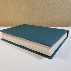 The Lightning Thief Percy Jackson Hardcover OOP Rick Riordan Unclipped Jacket