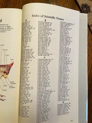 Vintage Reader’s Digest „BOOK of NORTH AMERICAN BIRDS”, hardcover, 576 pgs, Mint