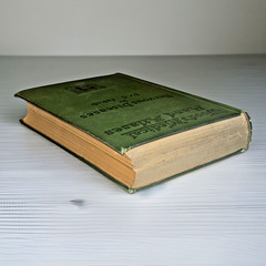 Atlas of Normal and Pathological Nervous Systems ~ 1896 ~ C. Jakob ~ Color Illus