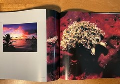 St. John U.S.V.I. Living Art Simonsen 2003 SIGNED Caribbean Photography 2nd Ed.