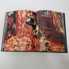 David Byrne Strange Ritual 1995 Hardcover 1st Edition Art Photo Talking Heads