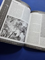 World of Warcraft RPG Alliance & Horde Compendium 3.5 WW17202 Sword & Sorcery