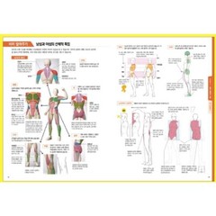 Pose Illustration Technic How to Draw Any Pose Drawing Guide Book