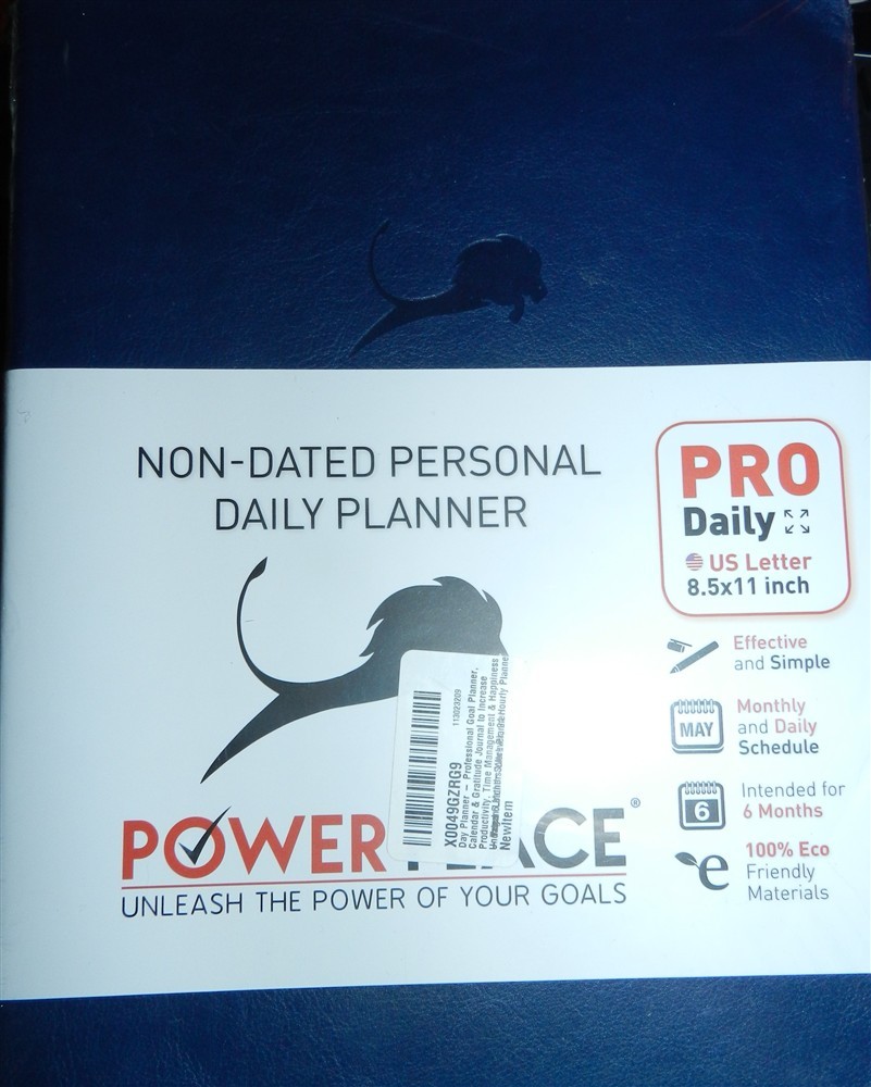 Lion Planner Non-Dated Personal Daily Planner Power Place 8.5X11 Inch Pro Daily