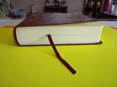 ESV Single Column Journaling Bible (TruTone, Chestnut, Leaves Design) Crossway