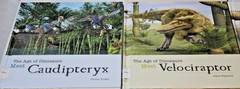 Lot 14 Library Bound Hardcover The Age of Dinosaurs Books